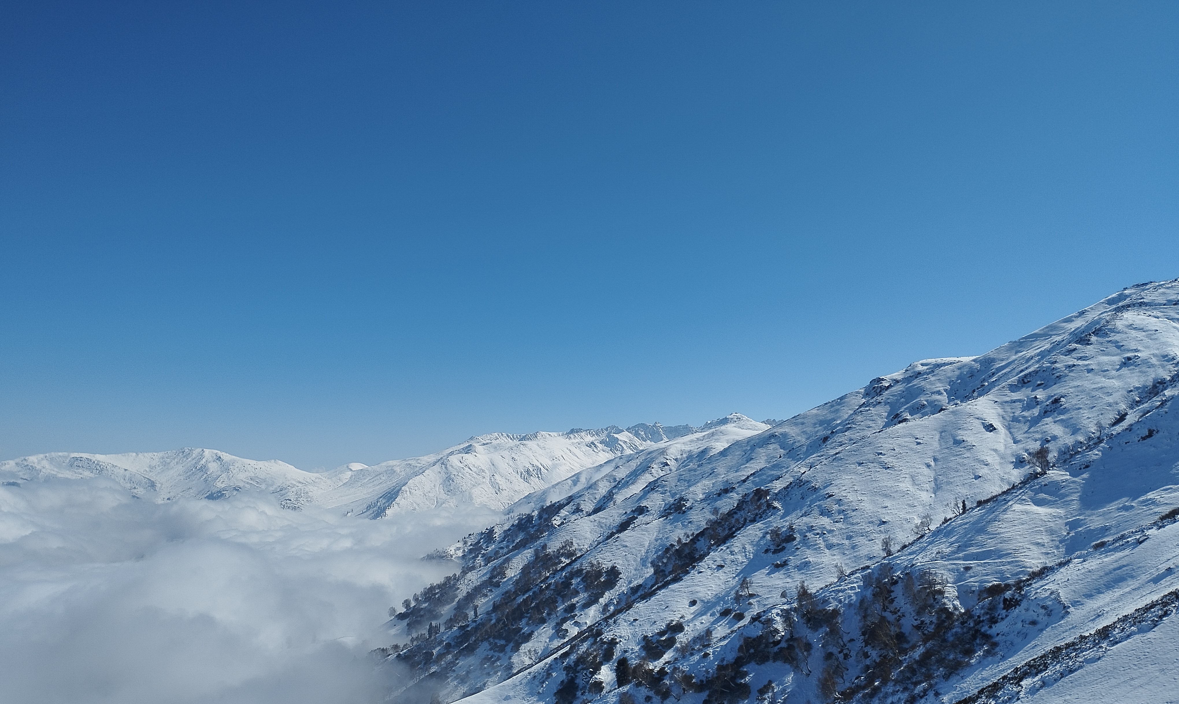 Snowy mountain slopes above a sea of clouds under a clear blue sky
